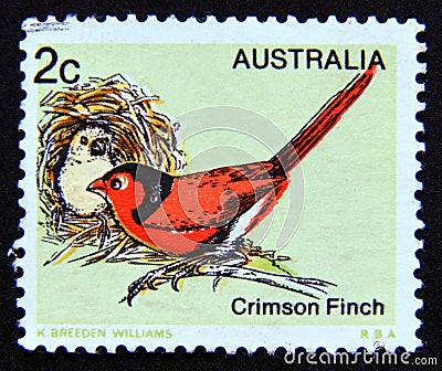 Postage stamp Australia, 1979. Crimson Finch Neochmia phaeton bird Editorial Stock Photo