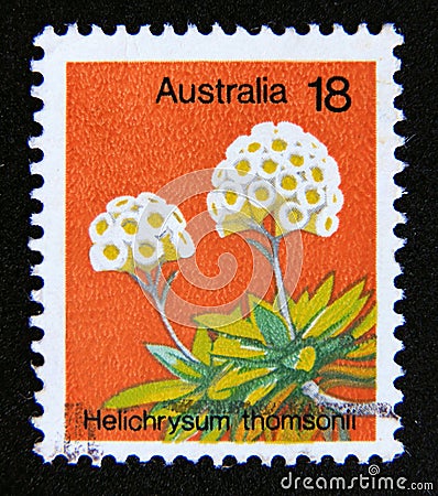 Postage stamp Australia, 1975. Helichrysum thomsonii wild flower Editorial Stock Photo