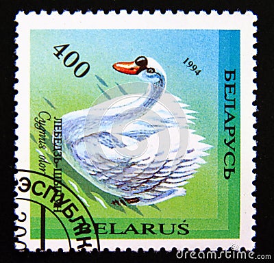 Postage stamp Belarus, 1994. Mute Swan Cygnus olor bird Editorial Stock Photo