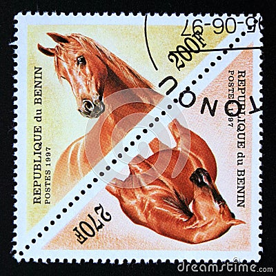 Triangle postage stamp Benin 1997. Horse Equus ferus caballus Editorial Stock Photo