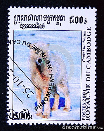 Postage stamp Cambodia, 2001, Alaskan Tundra Wolf, Canis lupus tundrarum Editorial Stock Photo