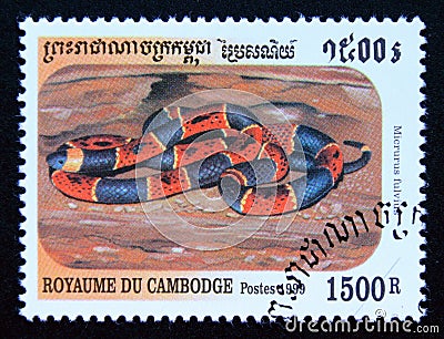 Postage stamp Cambodia, 1999, Eastern Coral Snake, Micrurus fulvius Editorial Stock Photo