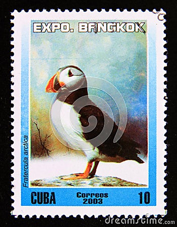 Postage stamp Cuba 2003. Atlantic Puffin Fratercula arctica bird Editorial Stock Photo