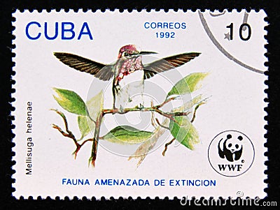 Postage stamp Cuba 1992. Bee Hummingbird Mellisuga helenae Editorial Stock Photo