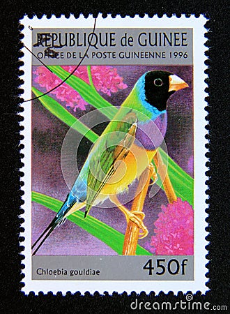 Postage stamp Guinea, 1996. Gouldian Finch Chloebia gouldiae bird Editorial Stock Photo