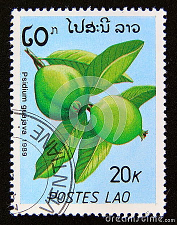 Postage stamp Laos 1989. Psidium Guajava fruit Editorial Stock Photo