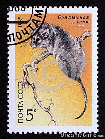 Postage stamp Soviet Union, CCCP 1985, Desert Dormouse, Selevinia betpakdalaensis Editorial Stock Photo