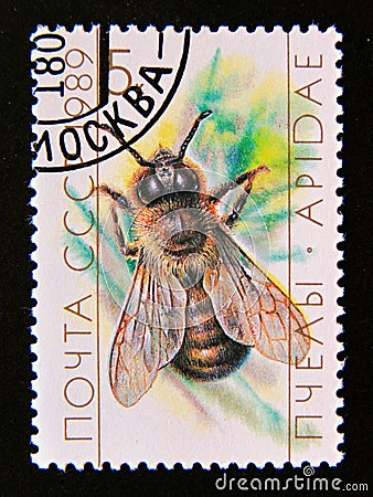 Postage stamp Soviet Union, CCCP,, 1989. Honey Bee Apis mellifica insect Editorial Stock Photo