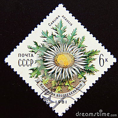 Postage stamp Soviet union, CCCP 1981. Stemless Carline Thistle Carlina acaulis flower Editorial Stock Photo