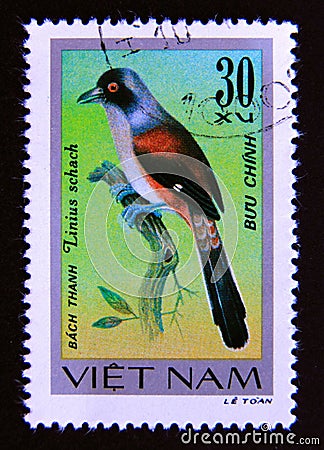 Postage stamp Vietnam, 1978. Rufous backed Shrike Lanius schach bird Editorial Stock Photo