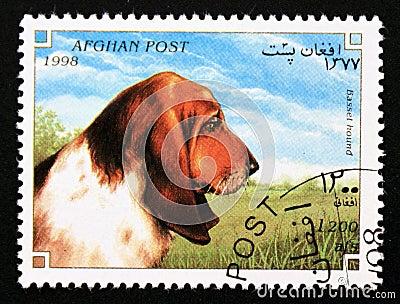 Postage stamp Afghanistan, 1998. Basset Hound dog breed Canis lupus familiaris Editorial Stock Photo