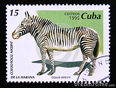 Postage stamp Cuba, 1995. Grevy`s Zebra Equus grevyi Editorial Stock Photo