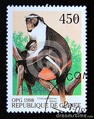 Postage stamp Guinea, 1998. Diana Monkey Cercopithecus diana Editorial Stock Photo