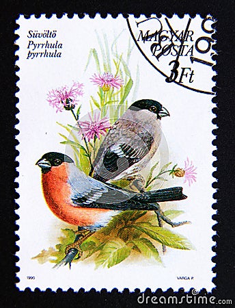 Postage stamp Hungary, Magyar, 1990. Eurasian Bullfinch Pyrrhula pyrrhula bird Editorial Stock Photo