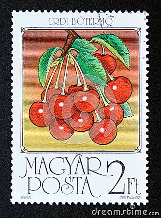 Postage stamp Hungary, 1986. Sour cherries fruit Editorial Stock Photo