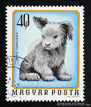 Postage stamp Hungary 1974. Young puppy Dog Canis lupus familiaris Editorial Stock Photo