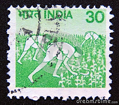 Postage stamp India, 1979. Harvesting Maize agriculture Editorial Stock Photo