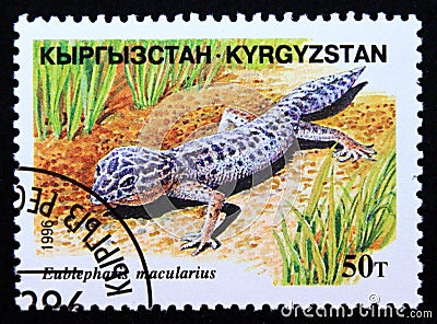 Postage stamp Kyrgyzstan 1996, Leopard Gecko, Eublepharis macularius Editorial Stock Photo