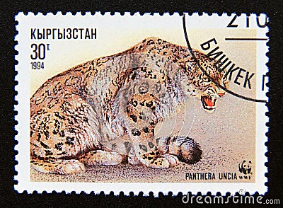 Postage stamp Kyrgyzstan, 1994. Sitting Adult Snow Leopard Panthera uncia Editorial Stock Photo