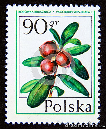 Postage stamp Poland 1977. Cowberry Lingonberry Vaccinium vitis idaea fruit Editorial Stock Photo