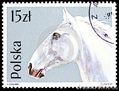 Postage stamp printed in Poland shows Lippizan (Equus ferus caballus), Horses serie, circa 1989 Editorial Stock Photo