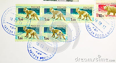 Postage stamp printed in Russia with stamp of Rakpas shows Red Fox, Beown bear, serie, circa 2008 Editorial Stock Photo