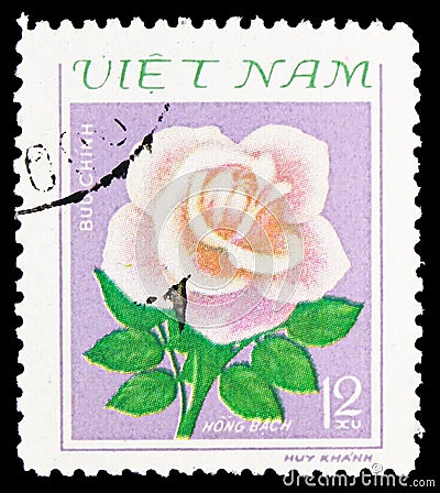 Postage stamp printed in Vietnam shows Single pink rose, Roses serie, circa 1980 Editorial Stock Photo