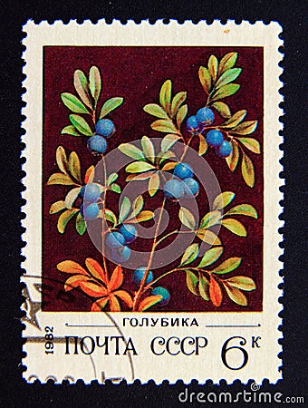 Postage stamp Soviet union, CCCP 1982. Northern Bilberry Vaccinium uliginosum flower Editorial Stock Photo