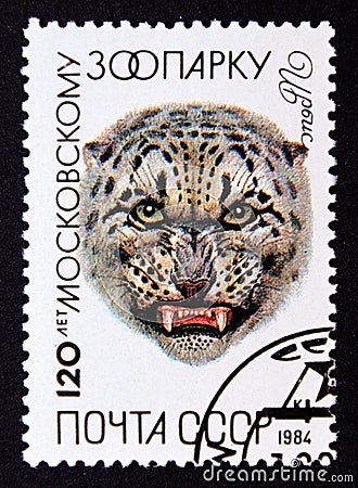 Postage stamp Soviet Union, CCCP 1984, Snow Leopard, Panthera uncia Editorial Stock Photo