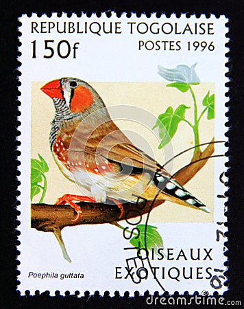 Postage stamp Togo, 1996. Zebra Finch Poephila guttata bird Editorial Stock Photo
