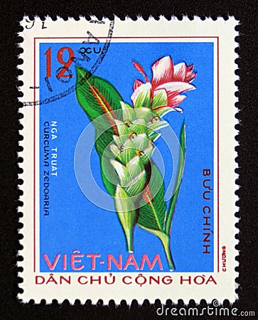 Postage stamp Vietnam, 1975. Curcuma zedoaria medicinal plant flower Editorial Stock Photo