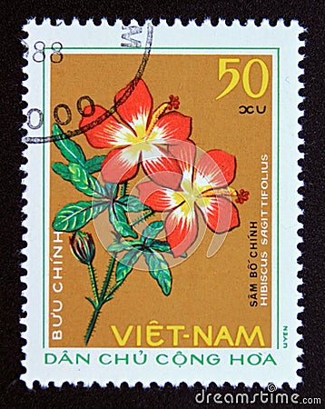 Postage stamp Vietnam, 1975. Hibiscus sagittifolius medicinal plant flower Editorial Stock Photo