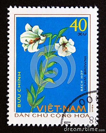 Postage stamp Vietnam, 1975. Lilium brownii medicinal plant flower Editorial Stock Photo