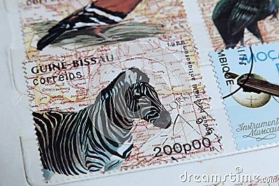 Postage stamps, Guine-Bissau wild animals, Zebra Editorial Stock Photo