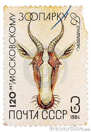 Postal stamp printed in USSR shows a Gazelle Editorial Stock Photo
