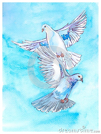 Postcard with doves on a blue background Stock Photo