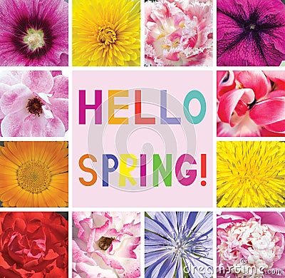 Postcard with flowers and the words Spring greetings. Hello Spring. Stock Photo