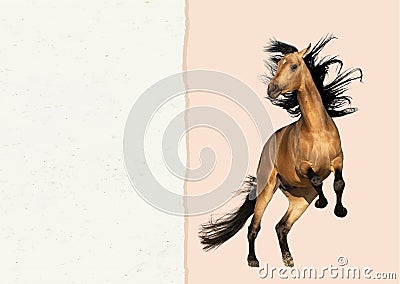 postcard separated by different backgrounds with a horse Stock Photo