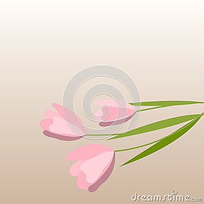 Background with spring flowers. Beautiful vector drawing of tulips. Place for text Vector Illustration