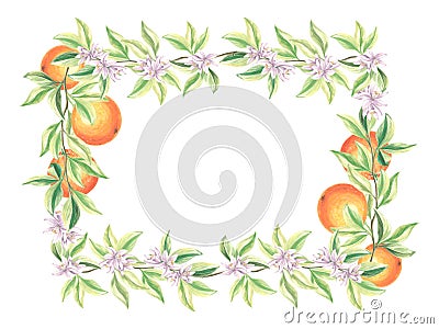 Postcard template, frame of flowers, leaves and oranges on white background. Blooming citrus tree branches. Isolated Cartoon Illustration