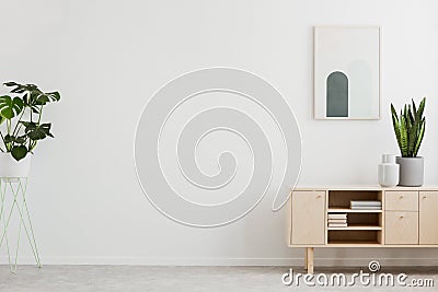 Poster above cupboard with plant in white living room interior with copy space. Real photo. Place for your product Stock Photo