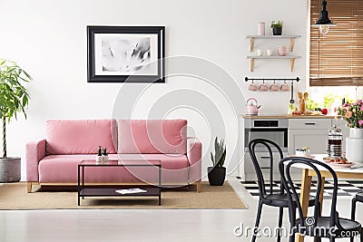 Poster above pink couch in white apartment interior with black c Stock Photo