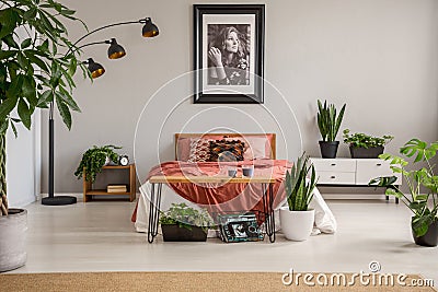 Poster above red bed with blanket in grey bedroom interior with plants and carpet Stock Photo