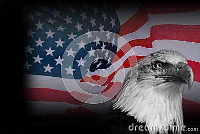 Poster American flag with eagle Stock Photo