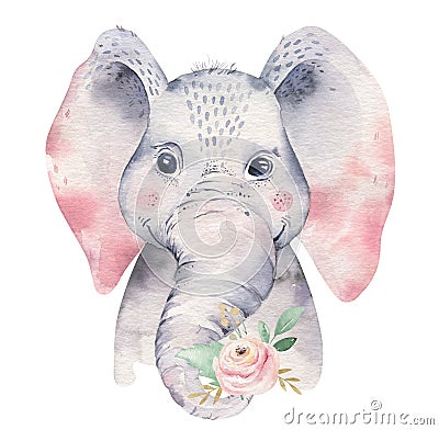 A poster with a baby elephant. Watercolor cartoon elephant tropical animal illustration. Jungle exotic summer print. Cartoon Illustration