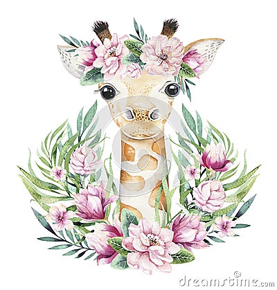 A poster with a baby giraffe. Watercolor cartoon giraffetropical animal illustration. Jungle exotic summer print. Cartoon Illustration