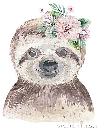 A poster with a baby sloth. Watercolor cartoon sloth tropical animal illustration. Jungle exotic summer print. Cartoon Illustration