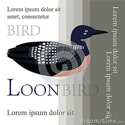 Poster, banner with loon bird and text. Poster layout design Vector Illustration