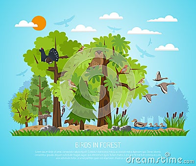 Poster Of Birds In Forest Cartoon Illustration