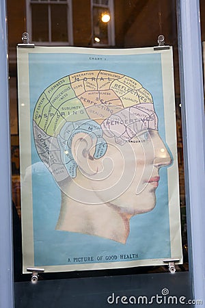 Poster with brain of man in the window shop. `A picture of good health` Editorial Stock Photo